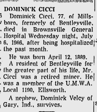 Dominick Cicci obit